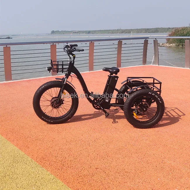 New Frame Front Hub Motor Three Wheel FatBike Electric Moped Pedal Assist Cargo Bicycle