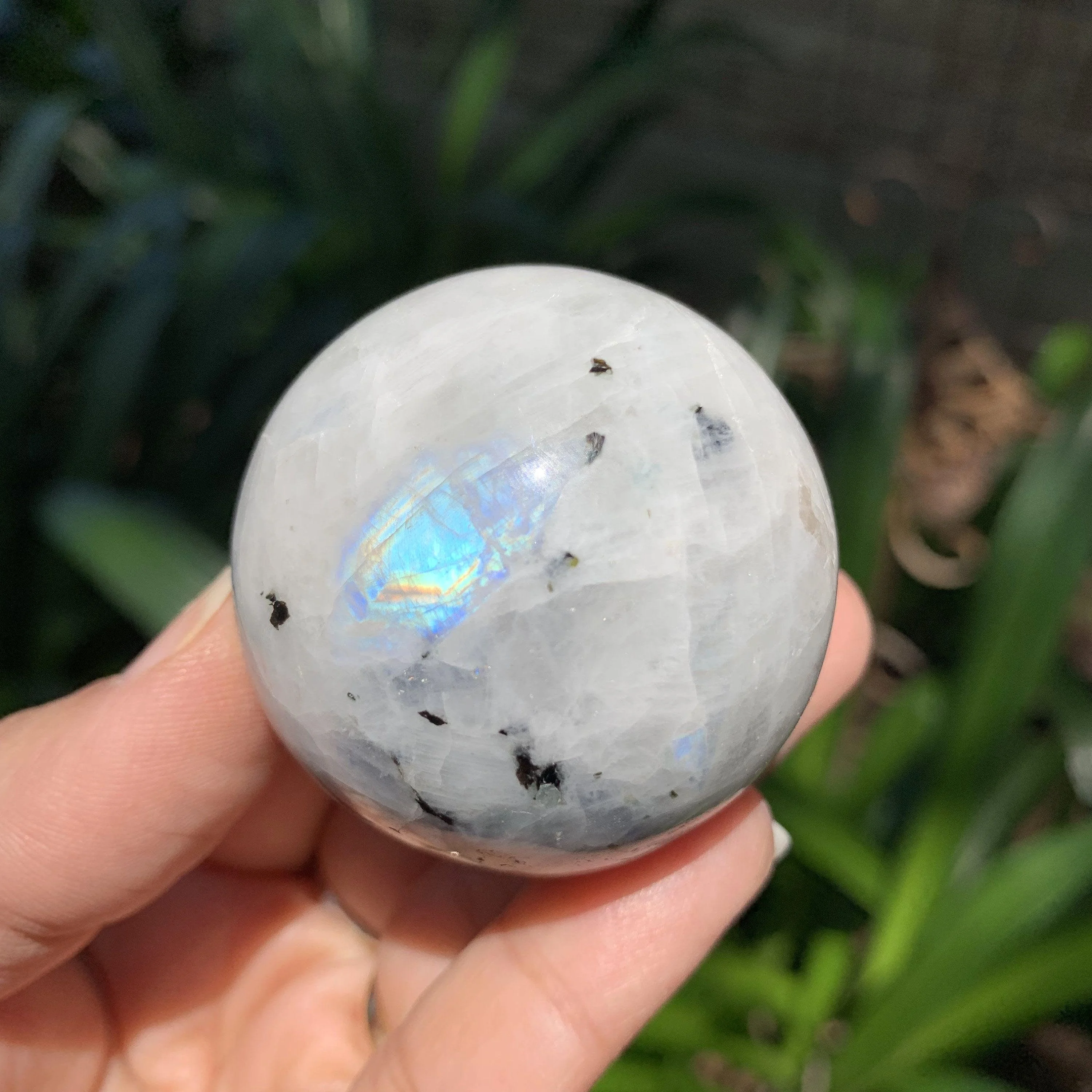 High Quality Rainbow Moonstone Spheres with Flash.jpg