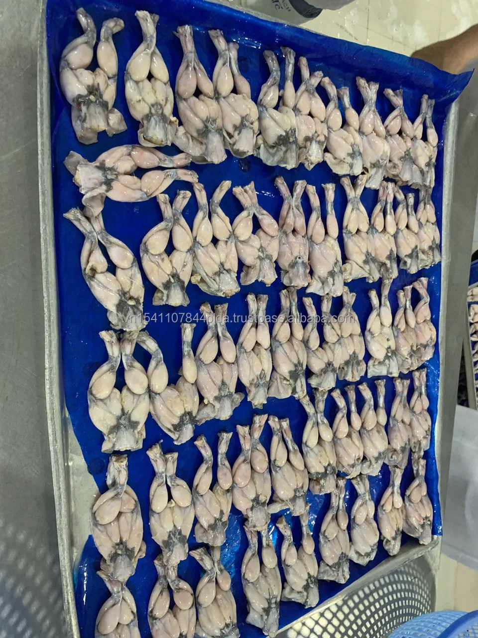 Замороженная пища для ног лягушки, без химикатов, хороший поставщик