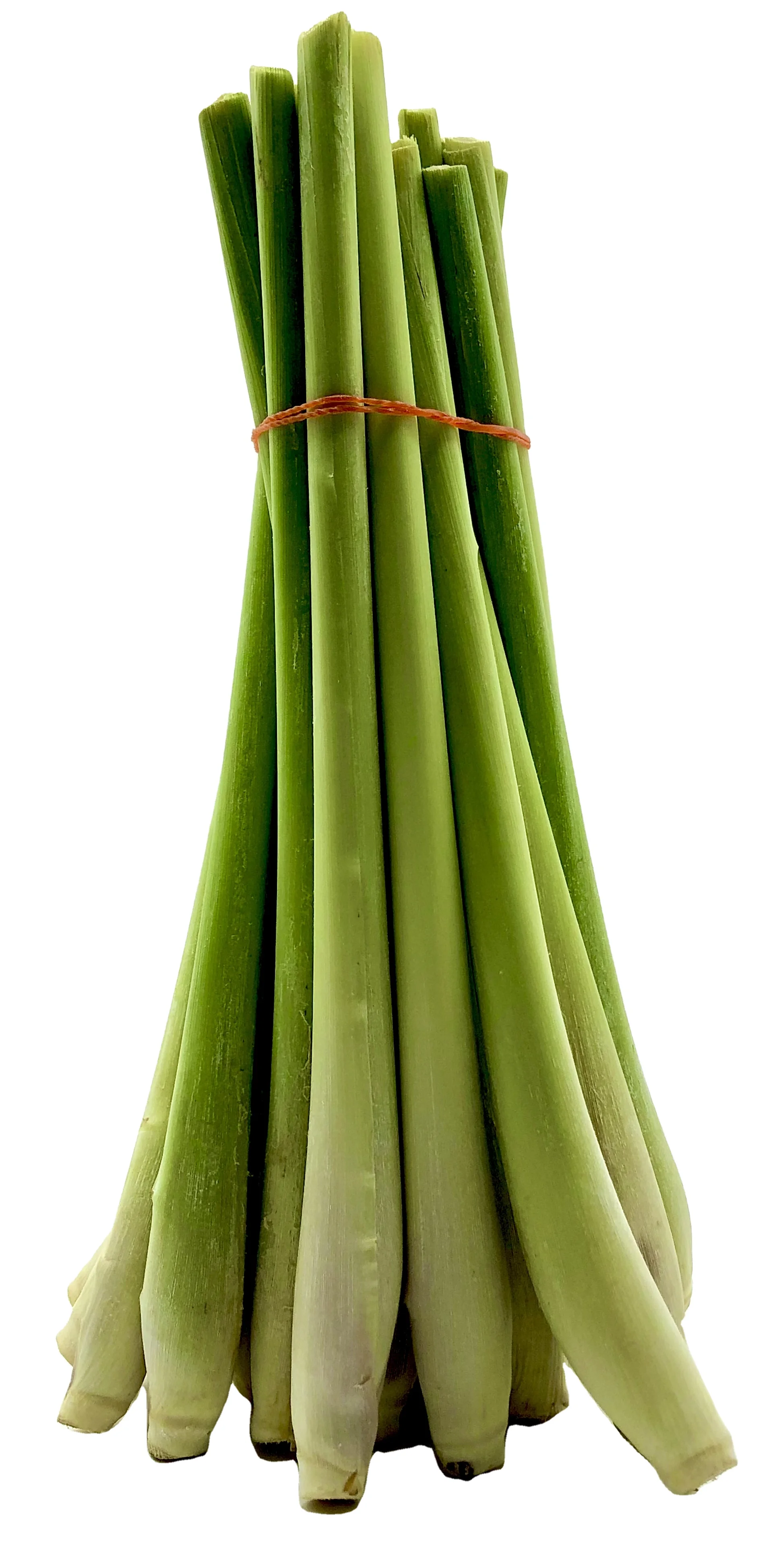 Premium Fresh Herb Lemon grass Flavorful Healthy Seasoning from Thailand