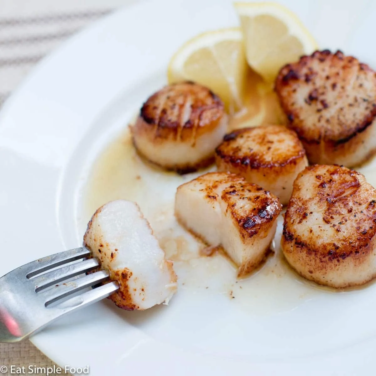 Лучший сушеный гребешок разных размеров на ваш выбор