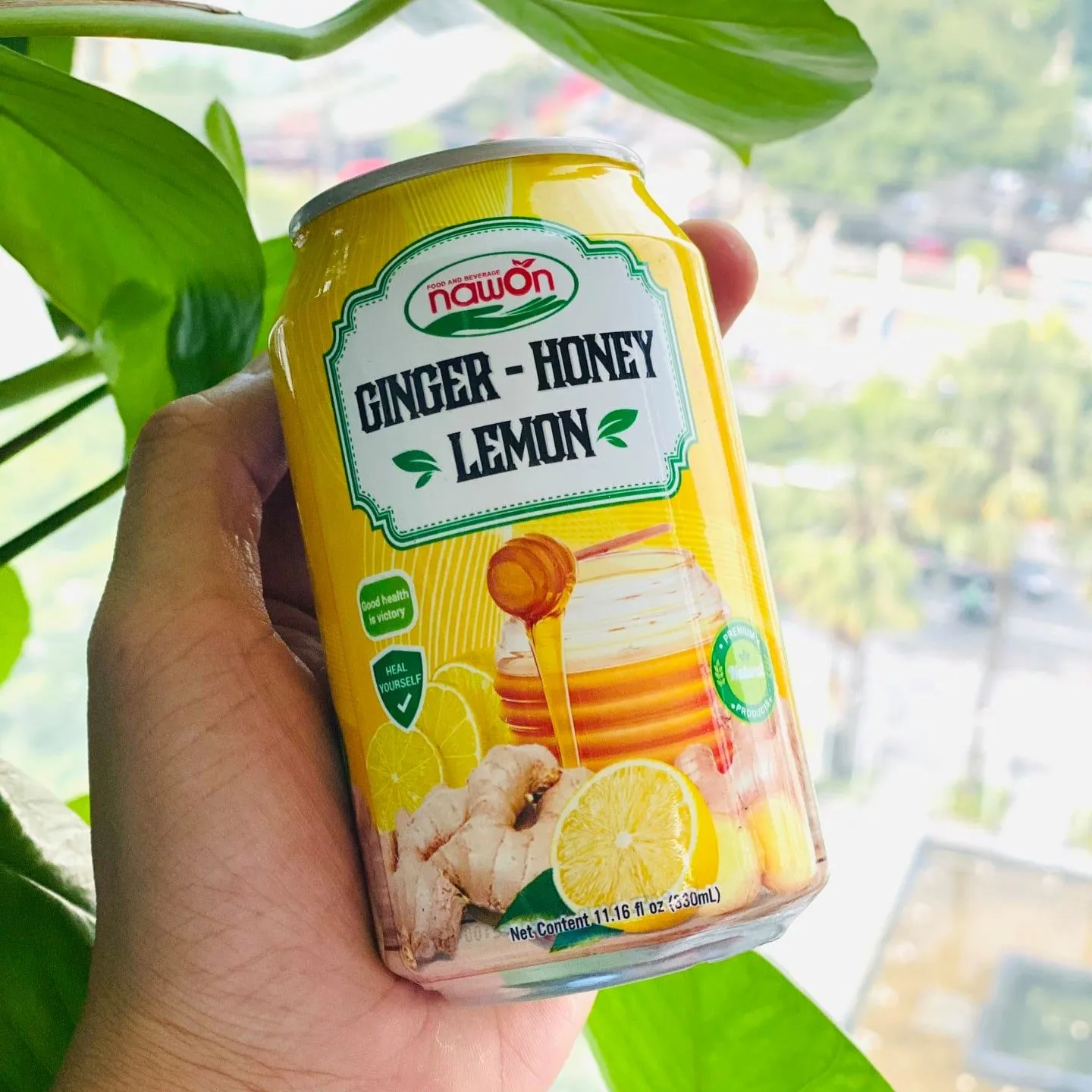 Ginger Honey Lemon Drinks Nfc 330ml Canned Ready to Drinks Healthy Fruit Juice Vietnam Wholesale Supplier HALAL HACCP Certified