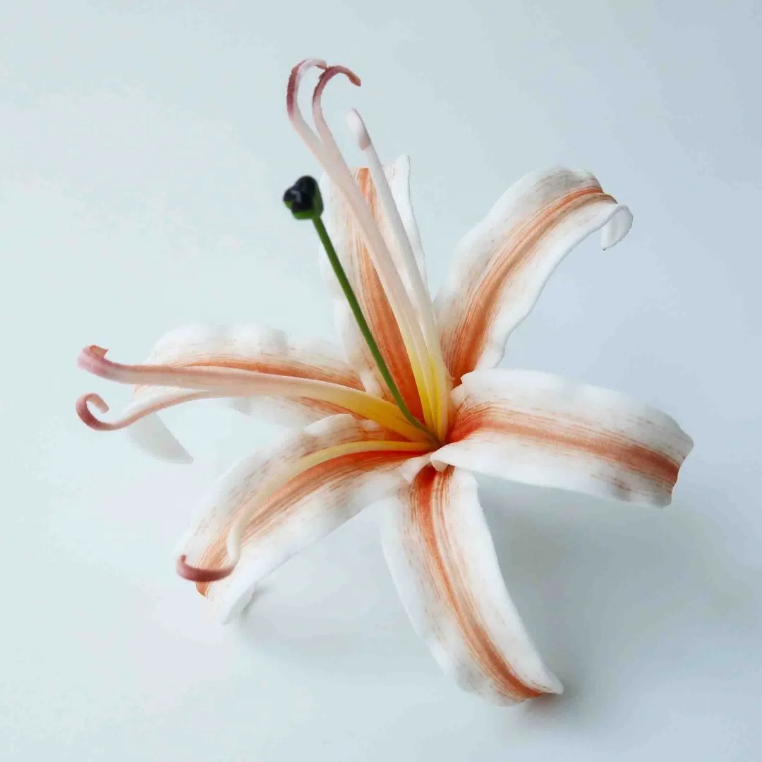 Hot seller Product from Thailand Spider Lily Foam Flower with unique brush print pattern Fashion Accessories