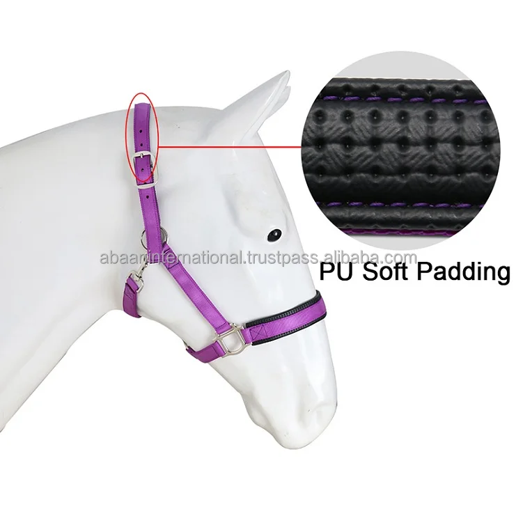 Top Selling High Quality Horse Nylon Halter Plain Head Collar Racing Manufacturer in India