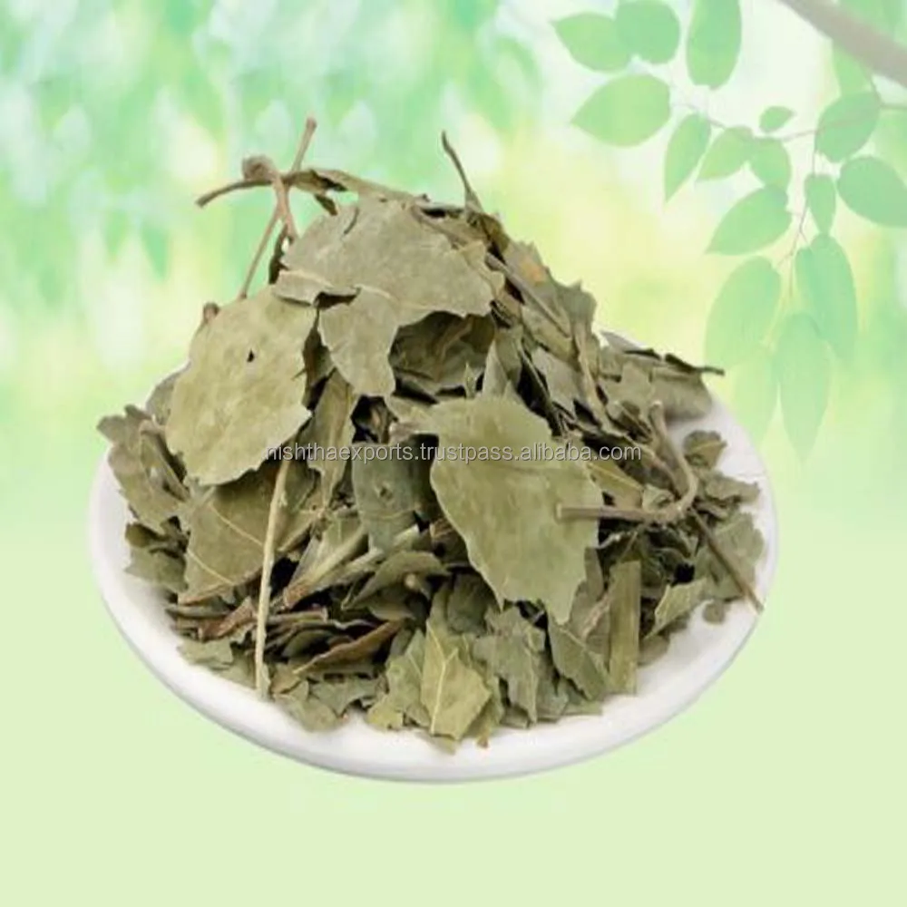 Aegle Marmelos Bel Bael Leaves Bel Patta Bel Patra Bilva Leaves Dried Natural Raw Herbs Wholesale Plant Extract Herbal Product