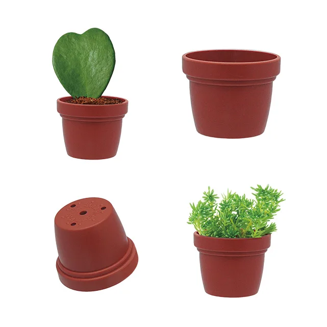 Min succulent pot and tray holder