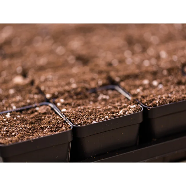 Порошок Coir Pith Low