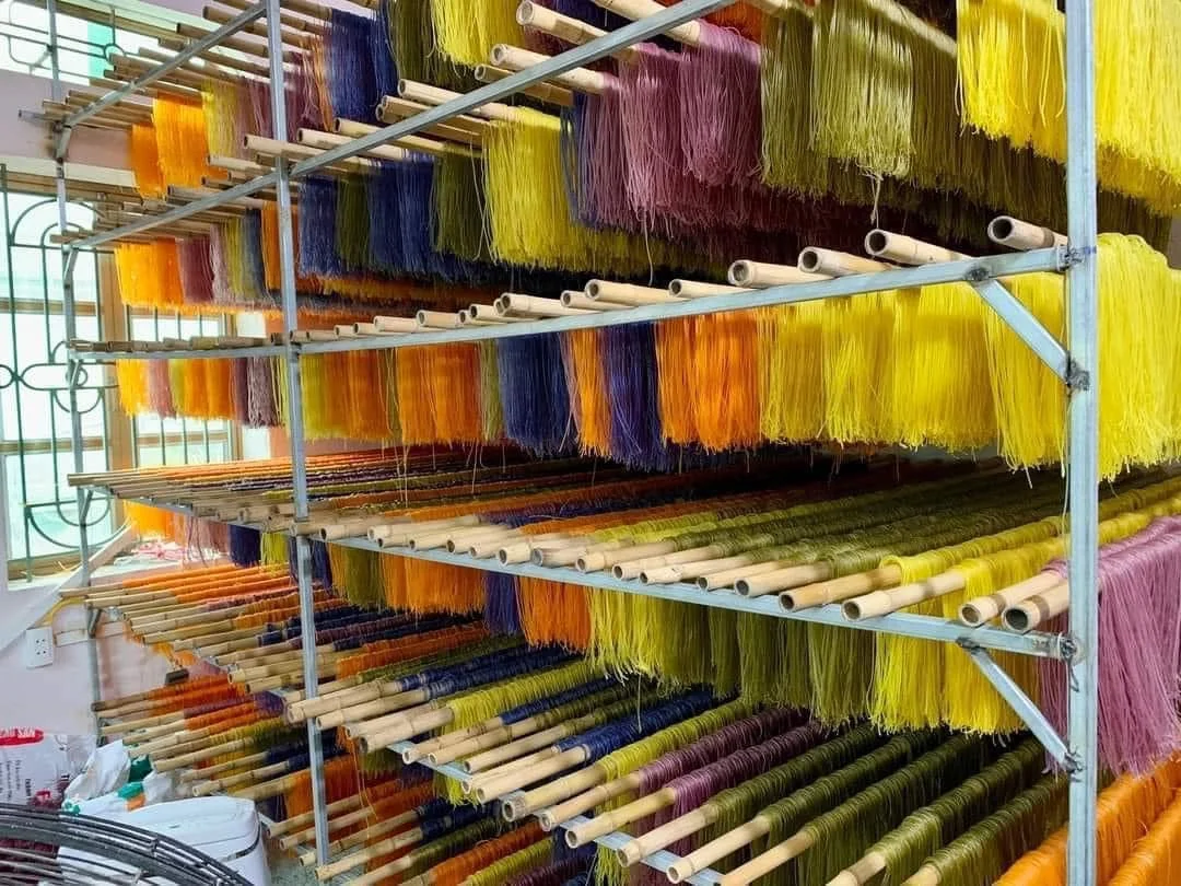 Vegetable rice noodle colorful for cooking from Vietnam /Dried rice vermicelli vegetable color gluten free from Vietnam