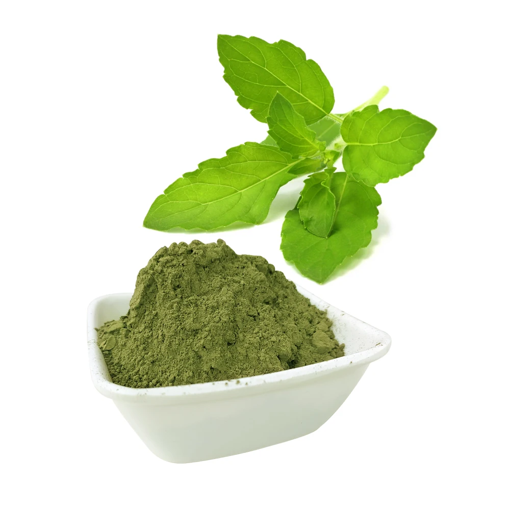 Best Quality Tulsi Leaves Powder For Hair Treatment 100 Gram Packing Custom OEM Private Labelling Available