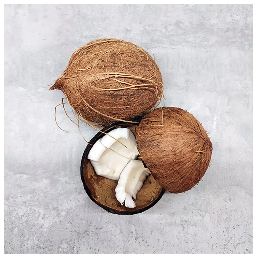  Лучшее качество смешанные Халяльные сушеные кокосовые приправы в форме порошка горячие продажи продуктов Bulks