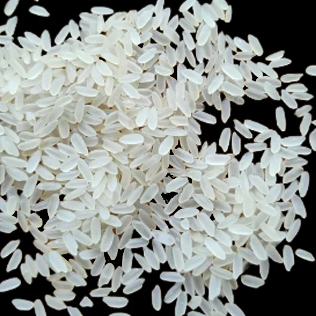 Top Quality Non Basmati Short Grain Swarna Rice for Export from India