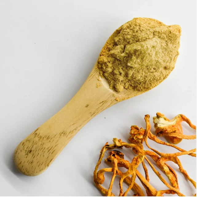 Manufacturer Bulk Natural Cordycepin Pure Cordyceps Sinensis Extract Powder for Export
