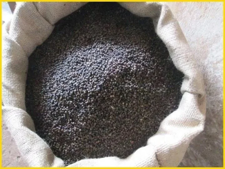 
Dried Organic Black Pepper High Quality Black Dry Pepper With Good Price 