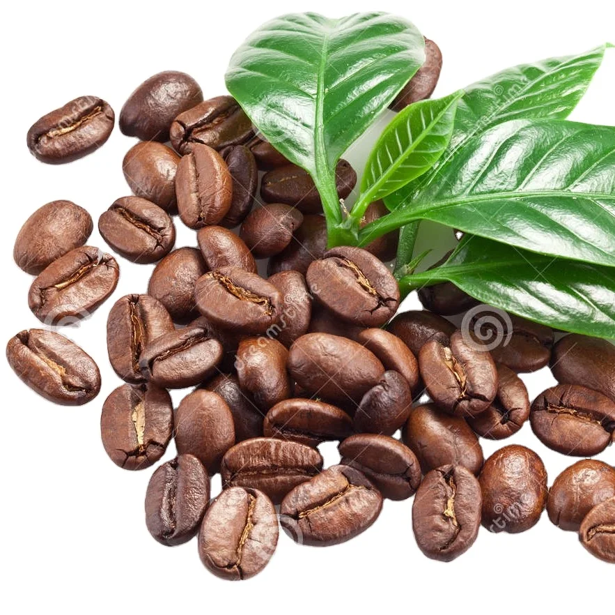 HANCOFFEE лучшие продажи Арабика робуста зеленая фасоль необжаренная полноразмерная кофейная Вьетнам высокое качество хорошая цена