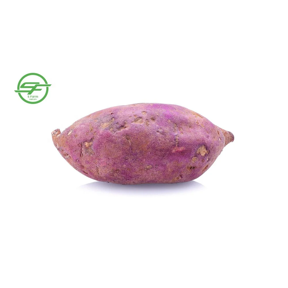 The best fresh and delicious purple sweet potato