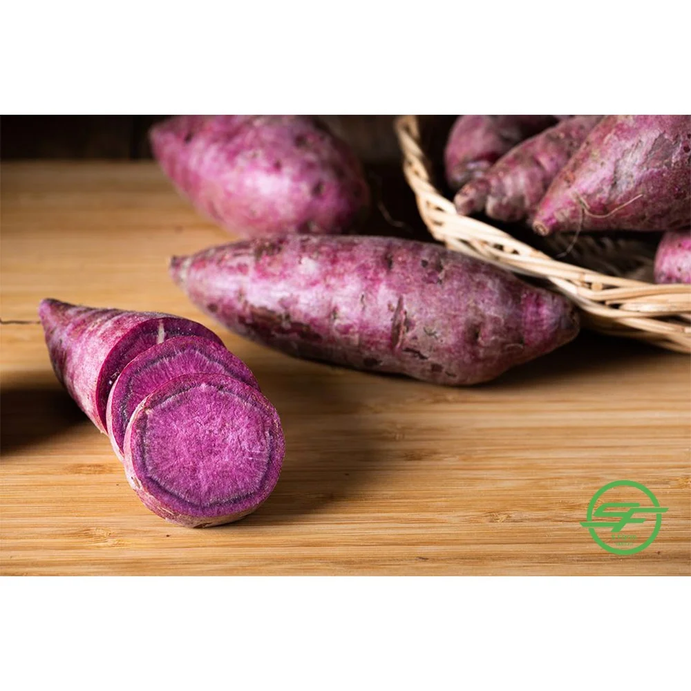 The best fresh and delicious purple sweet potato