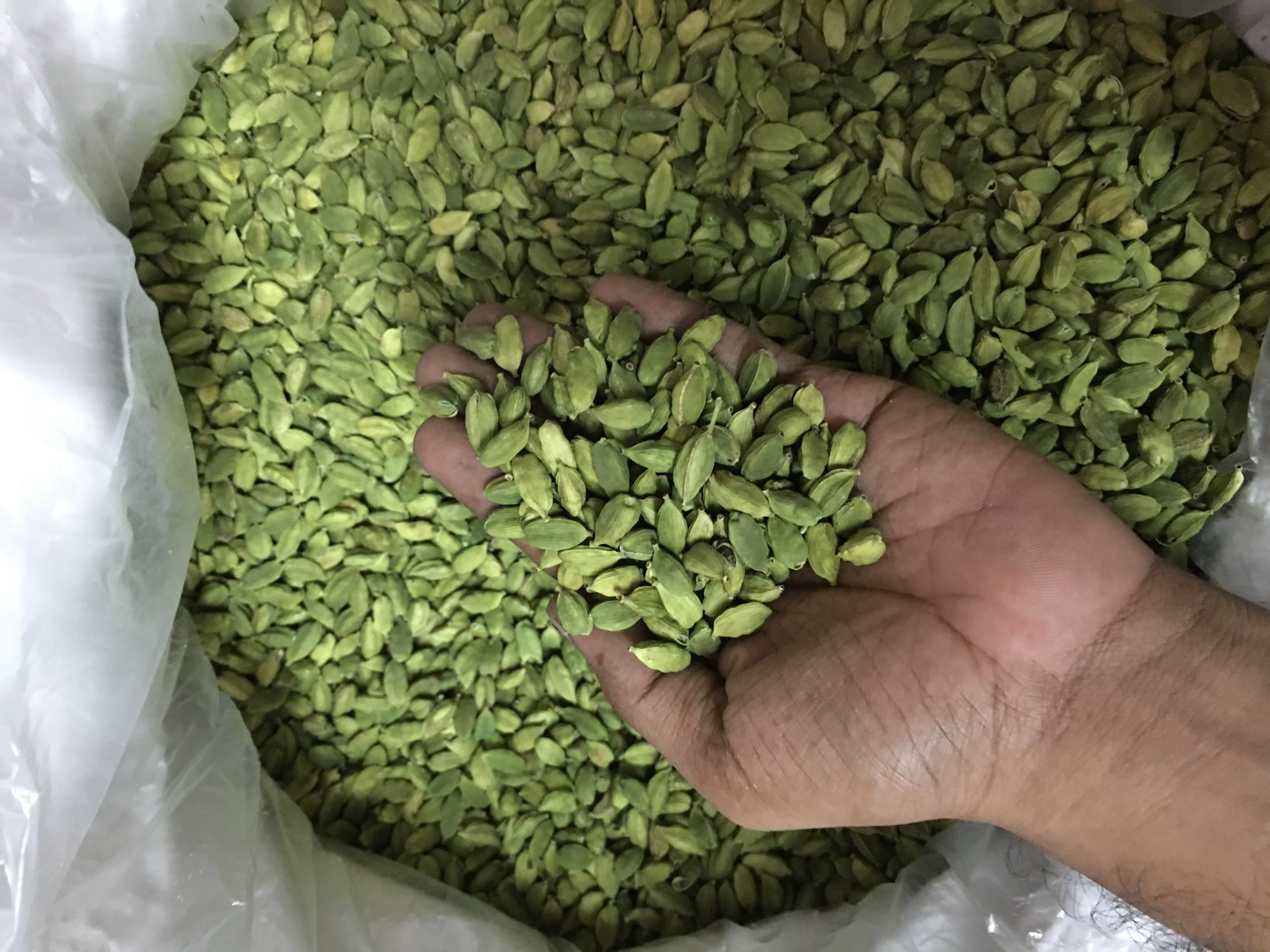 Green Cardamom 100% Indian Origin Premium Quality 7 MM Size for Germany Spices Seasonings on demand standard quality