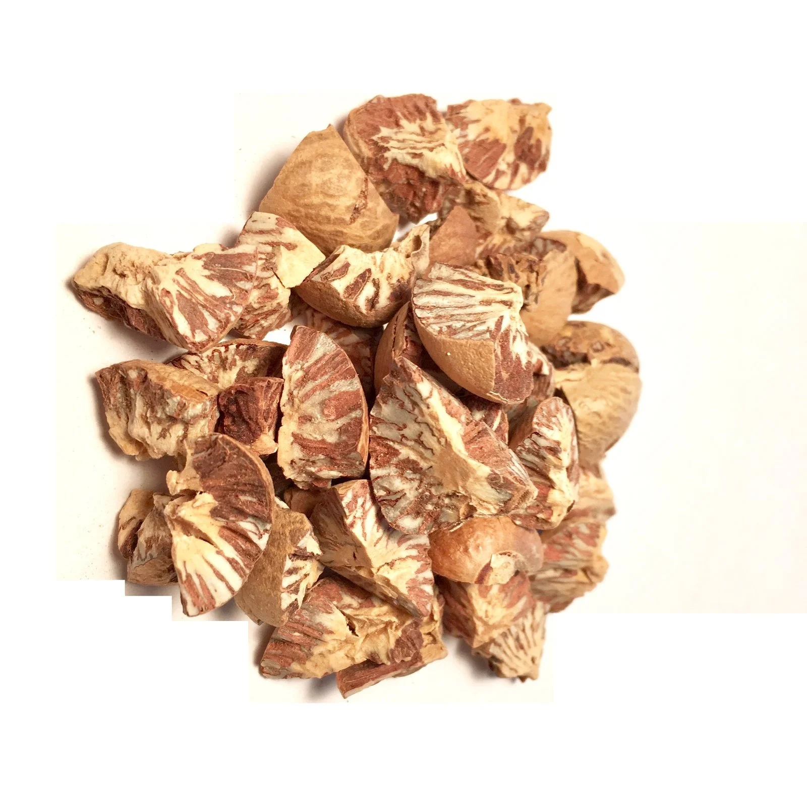 Dried Betel Nut / Areca Nuts Best Price.