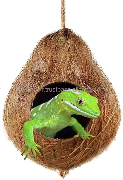 Sri Lanka Origin 100% Natural eco-friendly  Terrarium items for  Coconut shell Hiding Caves for Pet products wholesale