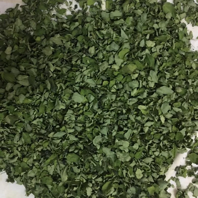 Wholesale organic moringa leaf powder