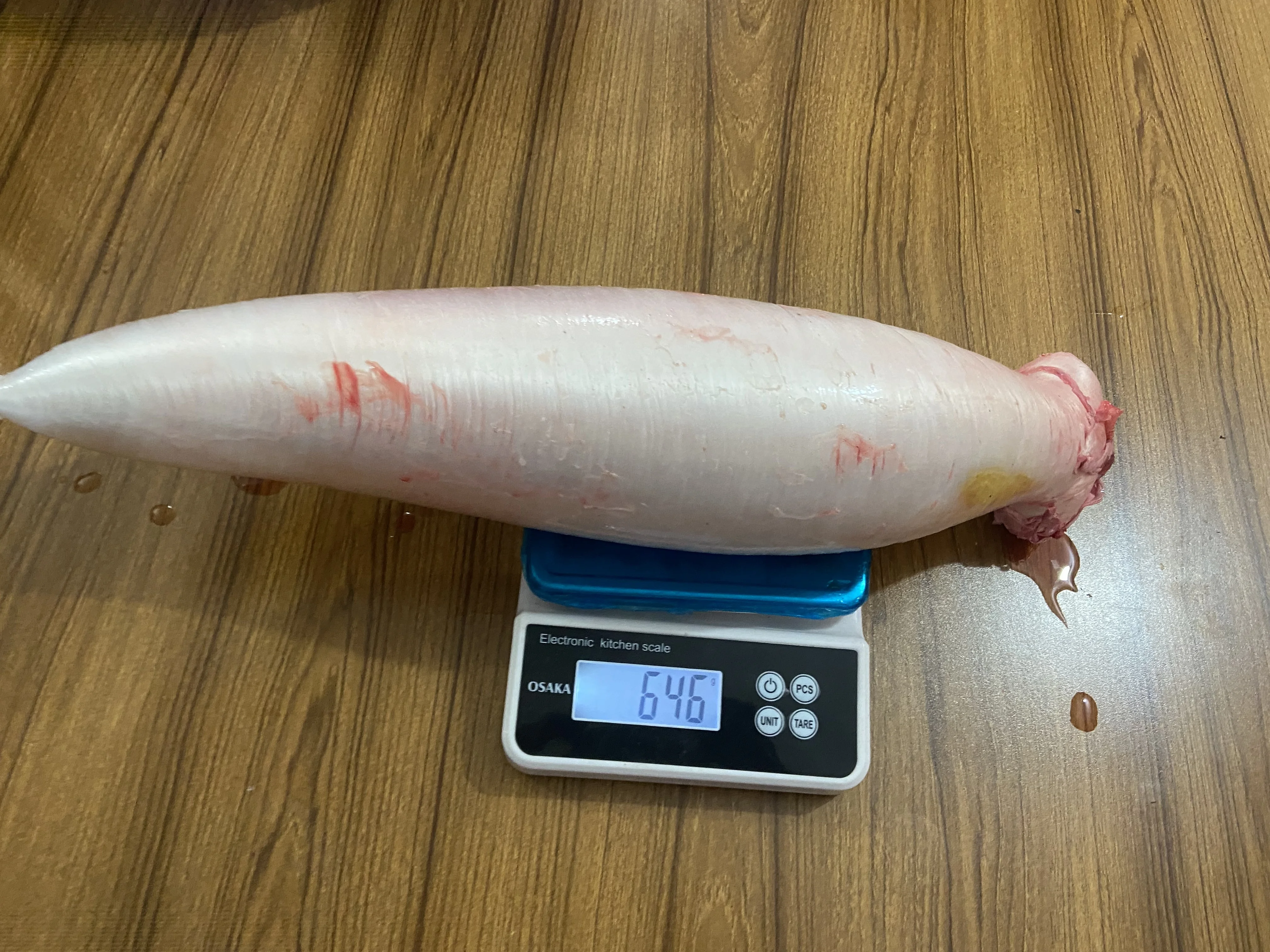Golden Datina Fish Maw Chilled Master Seafood Product Premium Wholesale Price Country of Origin Bangladesh Shipping by Air