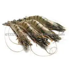 Best Selling Wholesale Price White Shrimp/Fresh Water Prawn/Frozen Vannamei Shrimp Feed From Indonesia