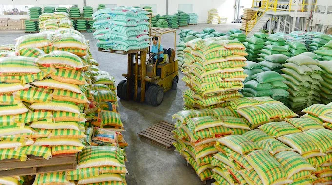 Fragrant DT8 Hottest Price Vietnam DT8 White Vietnamese Rice High Quality Customized Packing Medium Grain rice