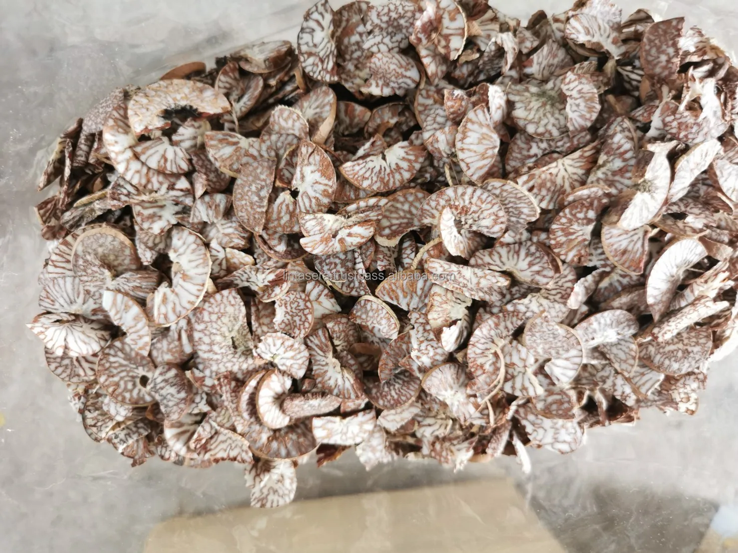 Best Export Quality Well Dried Good Cut Split Betel Nut