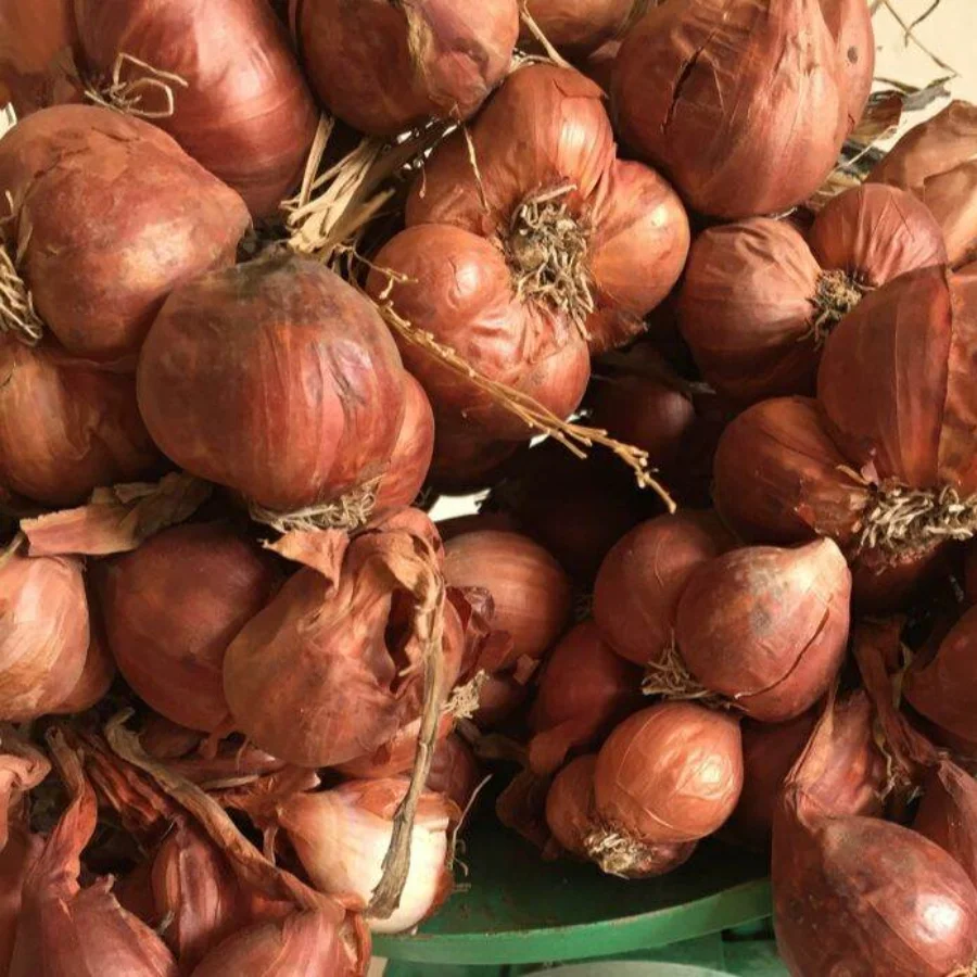 [HOT SALE 2022] Fresh Onion With High Quality Wholesale Cheap Price Ready To Ship From Viet Nam