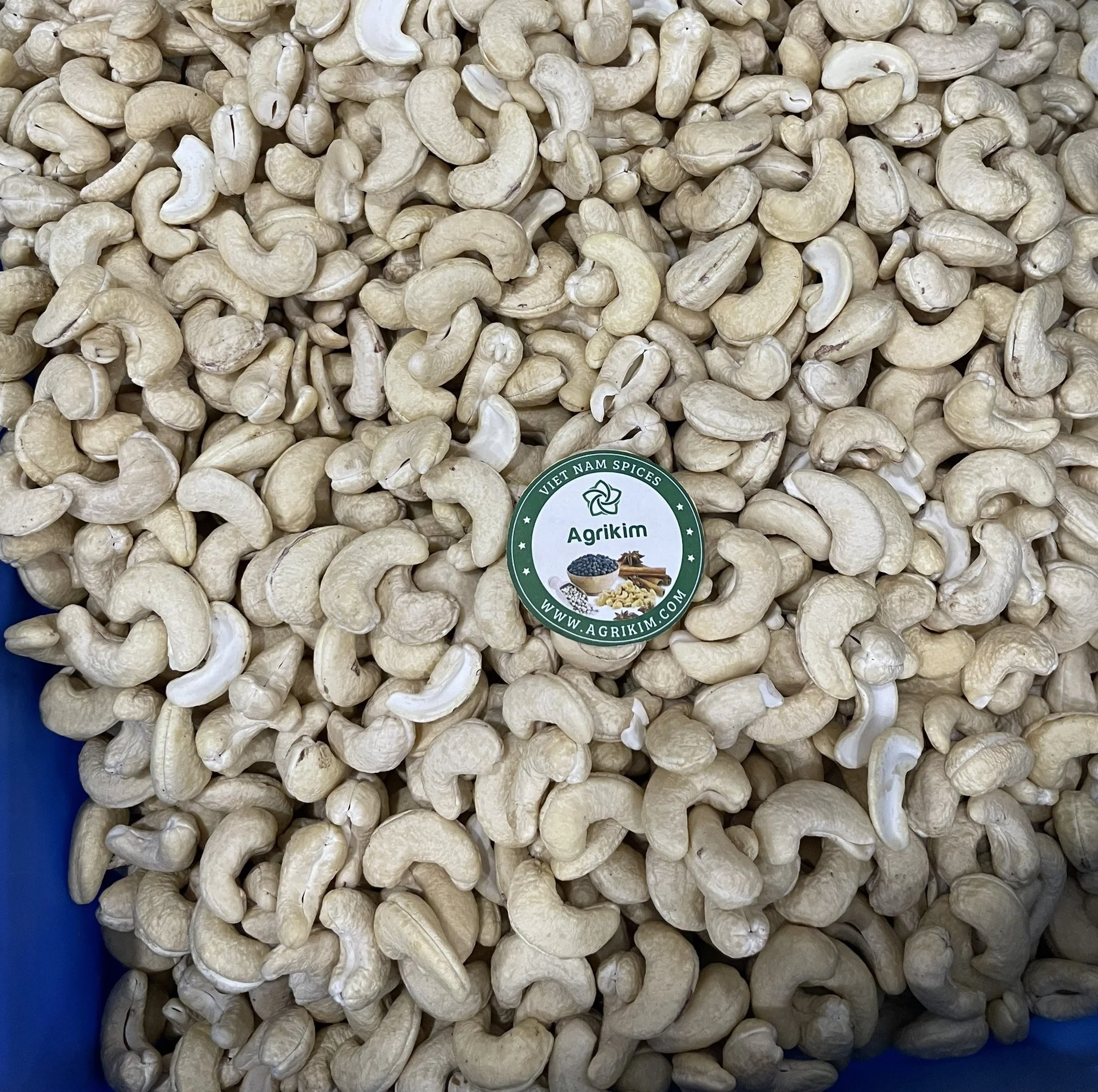 [BEST QUALITY] Raw Cashew Nuts W320 W240 W180 All grade with bits From Vietnam Exported With The Cheapest Price WS +84359166896