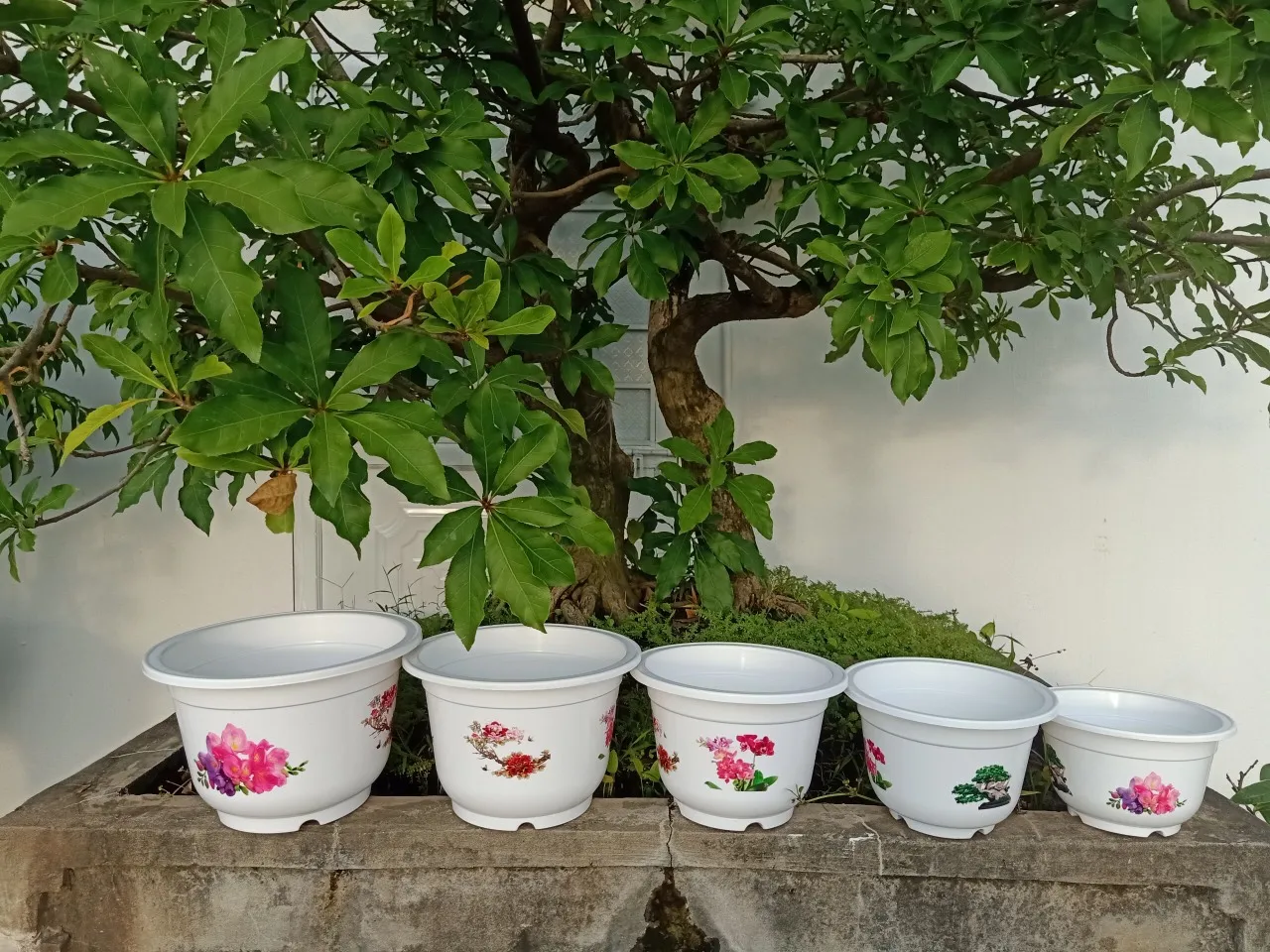 Four season plant pot from Vietnamese wholesale factory