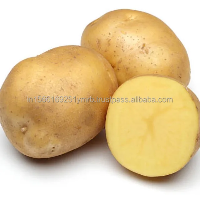 High quality fresh vegetable sweet potato for sale at best price fresh sweet potatoes