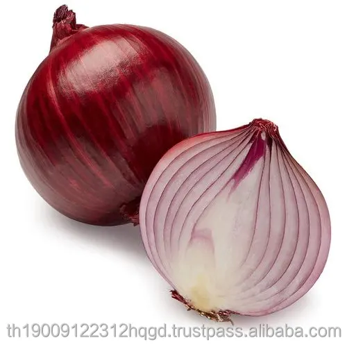 fresh-onion.jpg