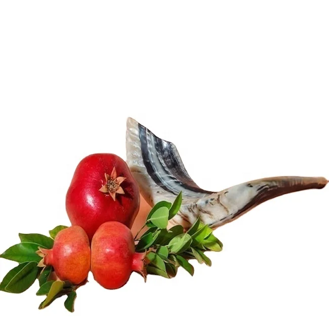 Top Selling Polish Ram Horn Natural Kudu Horns Jewish Religion Music Instrument  Accessories