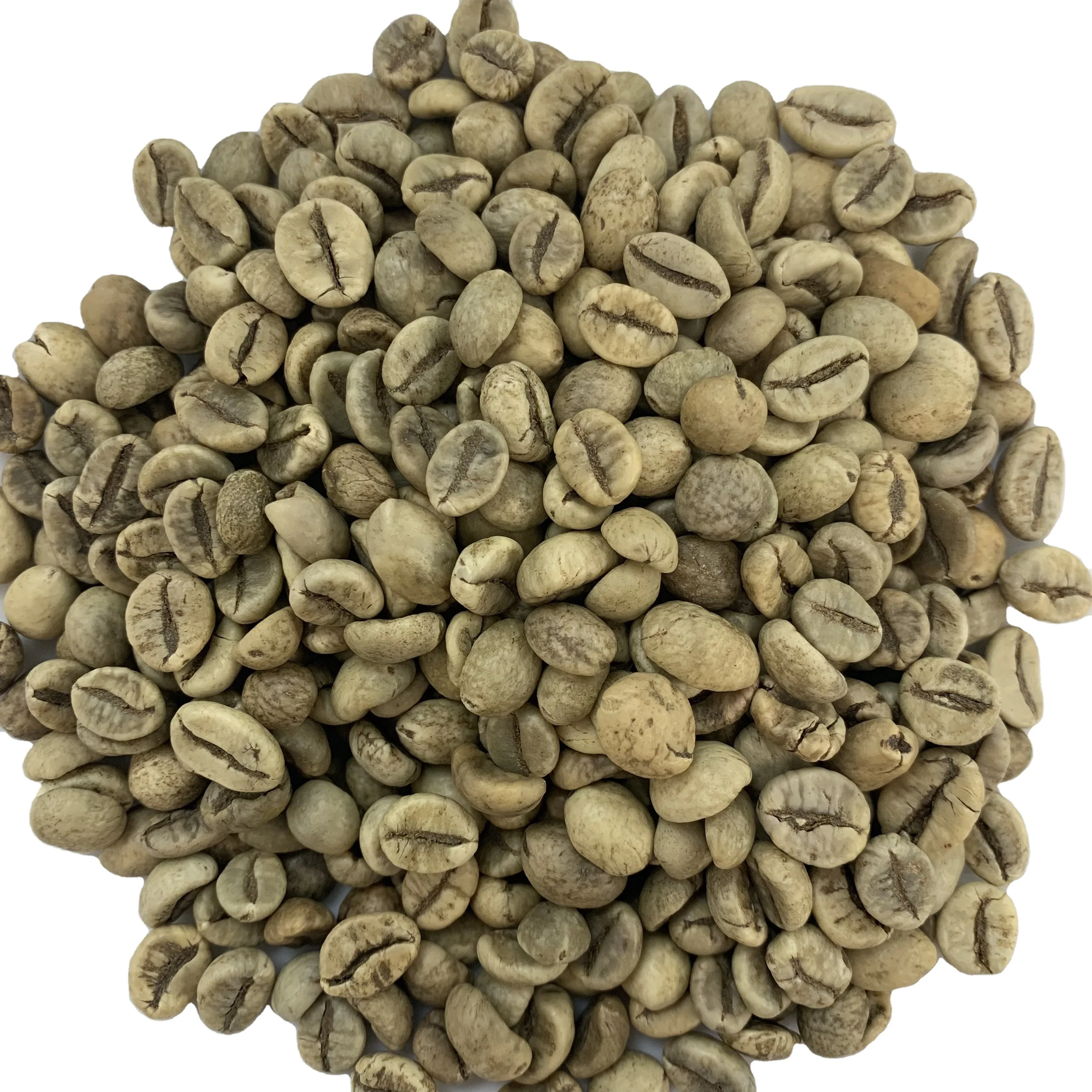 Высококачественные вьетнамские кофейные Зеленые зерна Robusta + 84 359313086 мс Анна