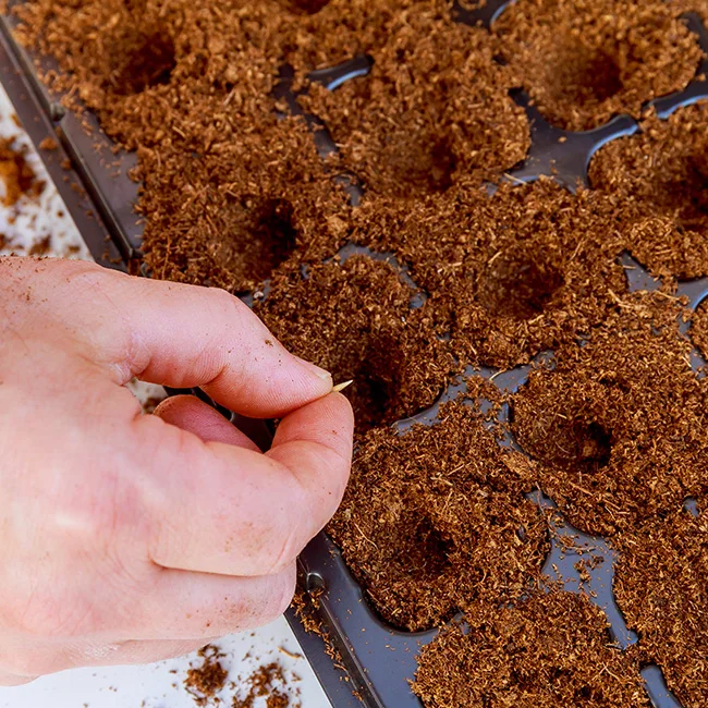 Custom Made Low EC Fiber Coco Peat Blocks Available At Affordable Price