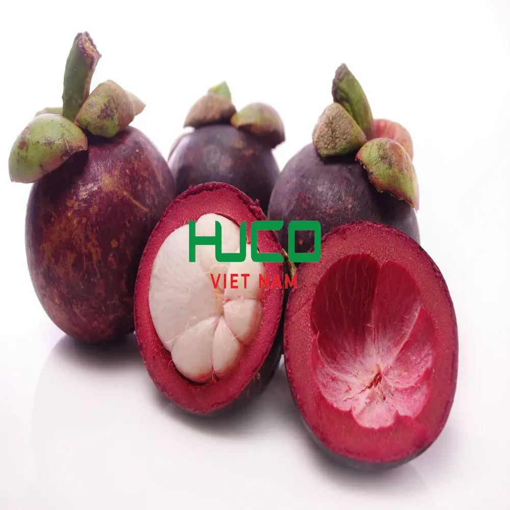 Hot sales fresh mangosteen from Vietnam