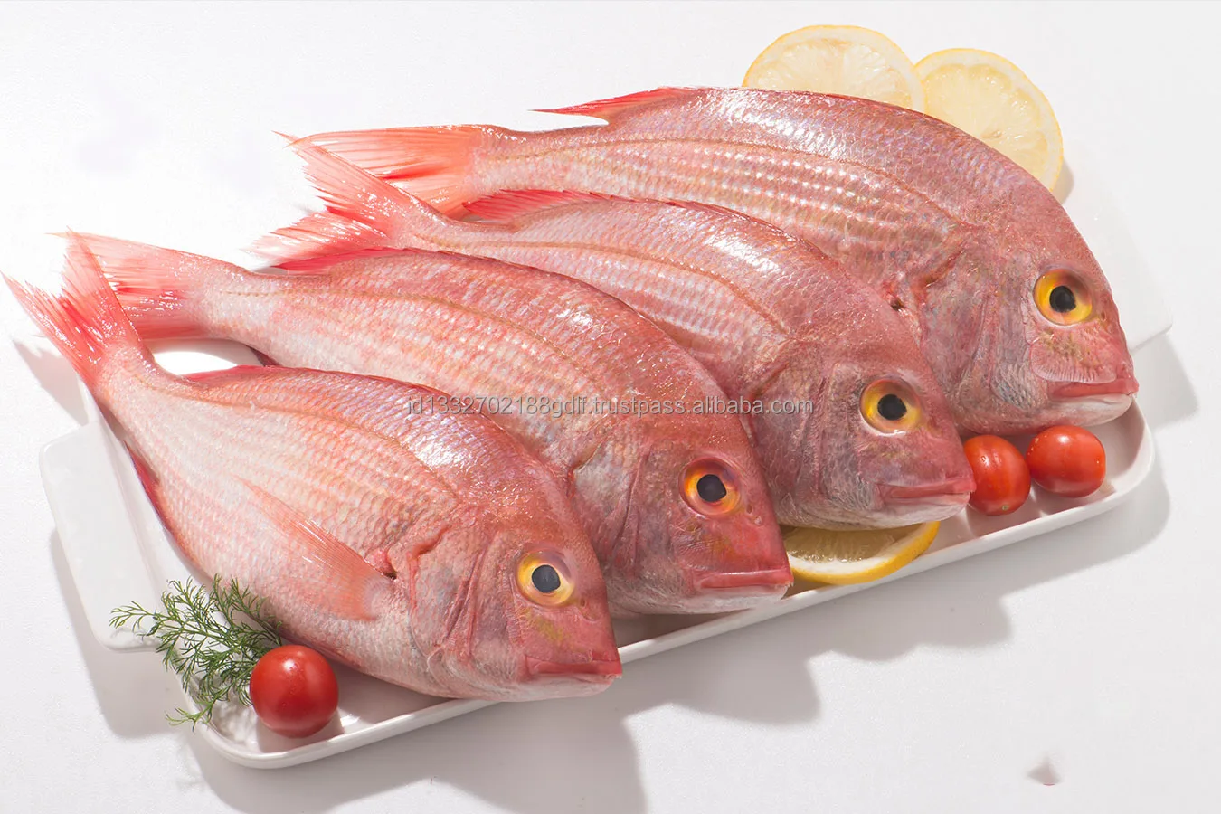 100% Best Quality Fish Customized Package Raw Cheap Price Fresh fish Premium Quality Fish From Indonesia