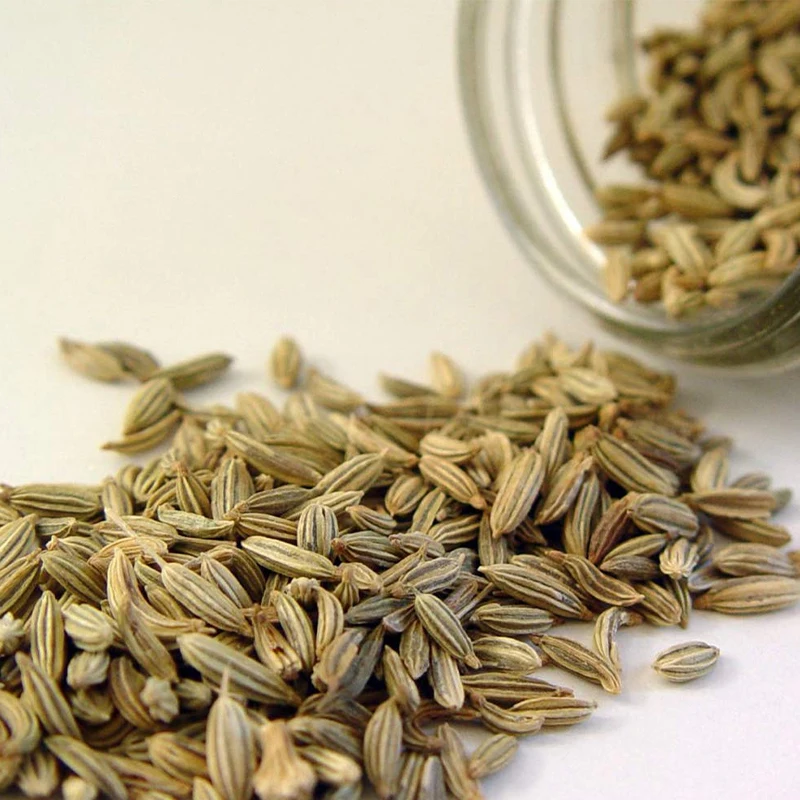 Wholesale Premium AD Spices Caraway Seed Fennel Flavor Seasoning New Crop Spices 100% Pure Dry Raw Herbs Green Granule 25 Kg