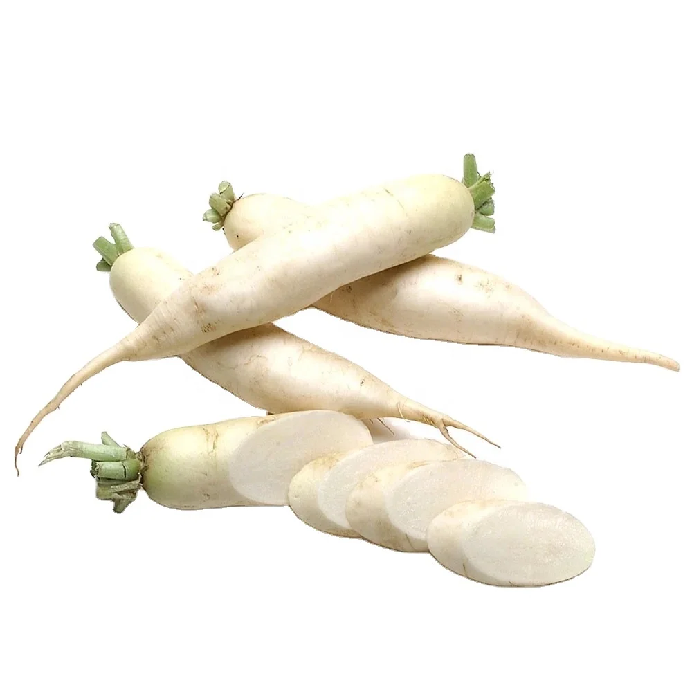 Export Fresh Organic Vegetables Vietnam Organic White Radish// Hot sale fresh white radish fresh vegetables