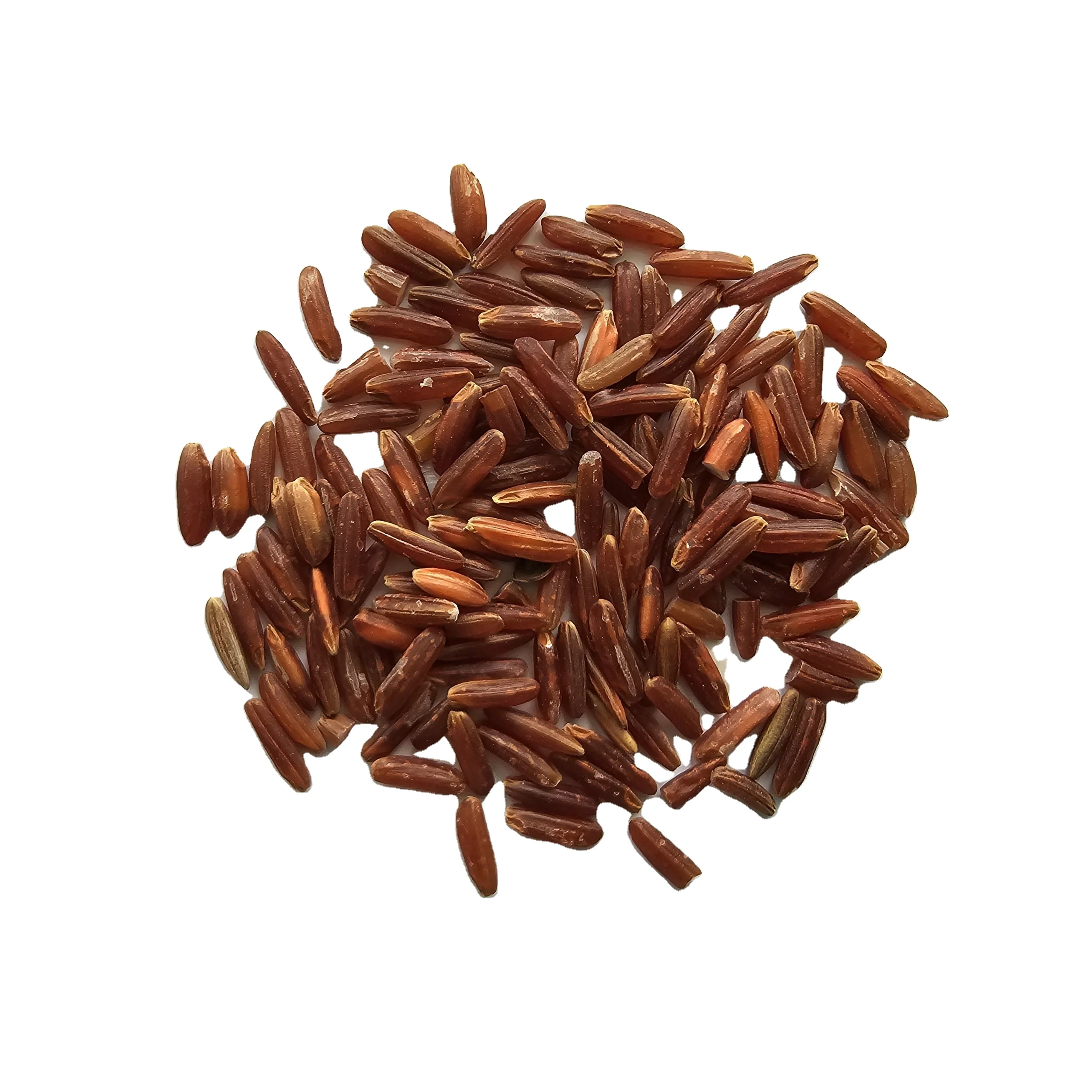 Supply Black/Red/Brown Rice for Wholesaler/Retailer/Importer with Exclusive or Private brand- WA: +84 944500504