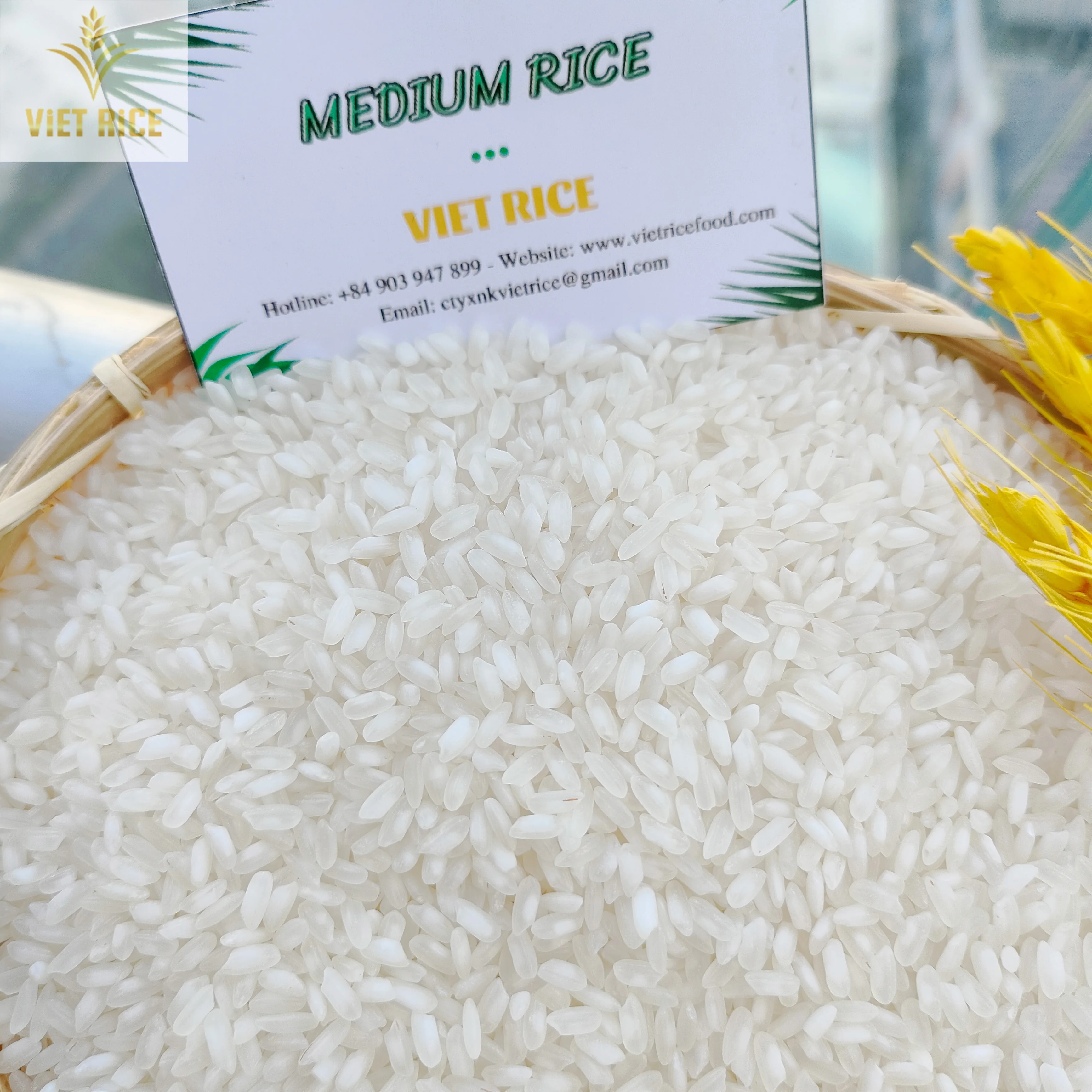 Premium medium grain white rice EGYPTIAN CAMOLINO 5% broken supplied from a top tier Vietnamese rice manufacturer and exporter