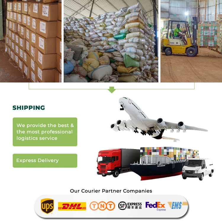 Coir grow poles for gardening purposes enhances effectiveness and efficiency of plant growth sustainable and eco-friendly