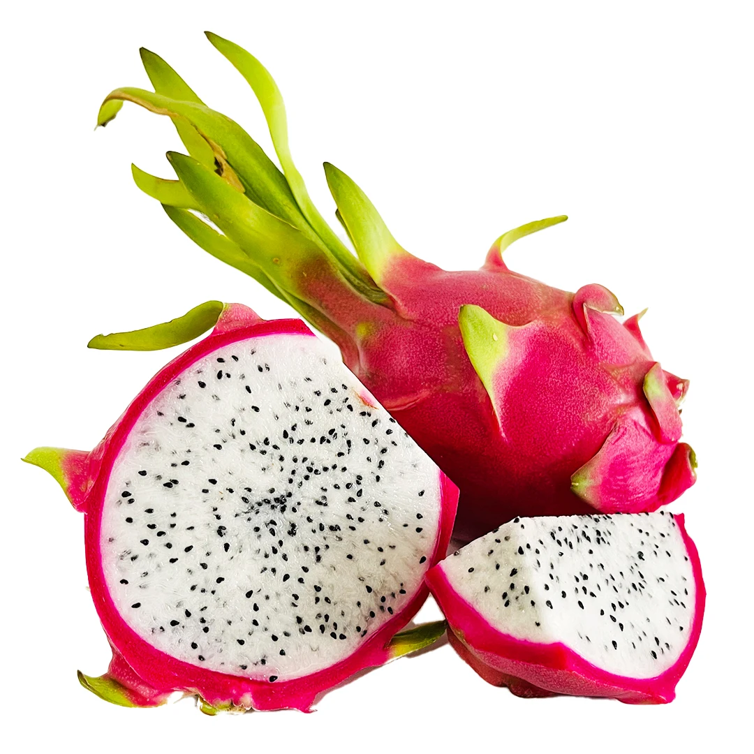 BEST PRICE FOR HIGH QUALITY FRESH WHITE DRAGON FRUIT 100% NATURAL EXPORT FROM VIETNAM FARM