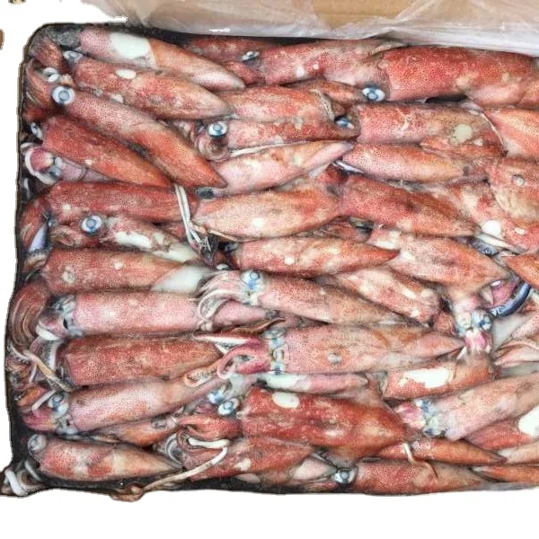 Frozen Seafood Frozen IQF Squid Ring ilex Todarodes for Sell