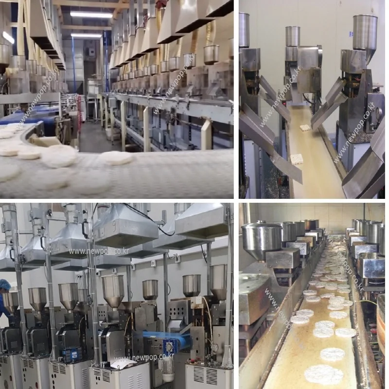 Korean Rice Cake Machine SYP9002 Rice Cake Machinery Shinyoung Mechanics Korea