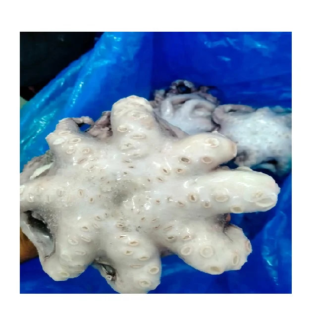 Frozen Octopus whole cleaned individual frozen  from India