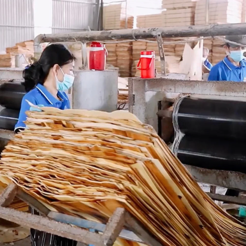 Commercial Grade 6/9/12/15/18mm Plywood Best Price Bed Slat Packing for Beds