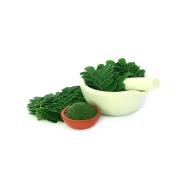 High-quality organic moringa powder for health benefits Pure and Premium herbal supplies from India in bulk