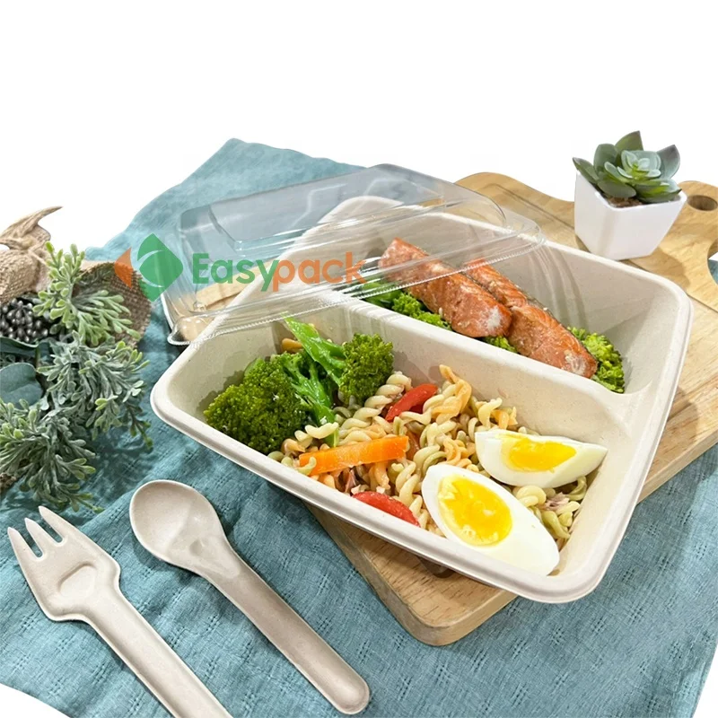 1000 ml square biodegradable pulp fiber take out food packaging boxes